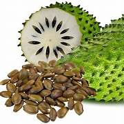 Graviola Guanabana fruit seeds for planting – Heirloom & Non-GMO garden seeds, flavorful tropical tree variety