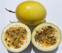 Yellow Maracuja Fruit Seeds for Planting – heirloom non-GMO seeds, tangy and tropical passionfruit – 100 pcs