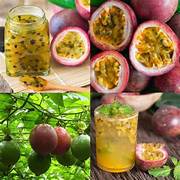 Mixed Color Passiflora fruit seeds for planting - Heirloom &amp; Non-GMO garden seeds, vibrant tropical mix