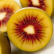 Ruby Red Kiwi fruit seeds for planting - Heirloom & Non-GMO Tropical Garden seeds