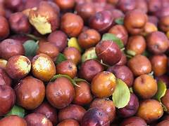 Marron Jujube Fruit Seeds for Planting – Heirloom & Non-GMO Garden seeds, sweet nutritious fruits for home gardens