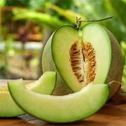 Green Honeydew Melon fruit seeds for planting - Heirloom & Non-GMO Garden seeds