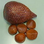 Salak Snakeskin fruit seeds for planting – Heirloom & Non-GMO garden seeds, exotic tropical tree variety