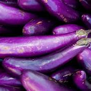 Violet Eggplant fruit seeds for planting - Heirloom & Non-GMO Garden seeds