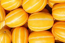 Korean Melon fruit seeds for planting – Heirloom & Non-GMO garden seeds, crisp sweet melons for home growers