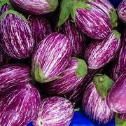 Violet Eggplant fruit seeds for planting - Heirloom & Non-GMO Garden seeds