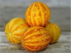 Pocket Melon fruit seeds for planting - Heirloom & Non-GMO Garden seeds, small fragrant melons for home gardens