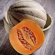 Charentais Muskmelon fruit seeds for planting – Heirloom & Non-GMO garden seeds, sweet French melons for home gardens
