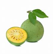 Yellow Aegle Marmelos fruit seeds for planting – Heirloom & Non-GMO seeds for aromatic bael gardens