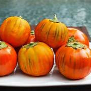 Orange Eggplant fruit seeds for planting - Heirloom & Non-GMO Garden seeds