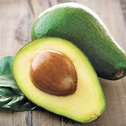 Wurtz Avocado fruit seeds for planting - Heirloom & Non-GMO Garden seeds, creamy dwarf variety for cooler zones