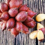Salak Snakeskin fruit seeds for planting – Heirloom & Non-GMO garden seeds, exotic tropical tree variety