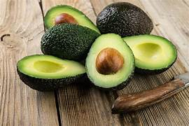 Wurtz Avocado fruit seeds for planting - Heirloom & Non-GMO Garden seeds, creamy dwarf variety for cooler zones
