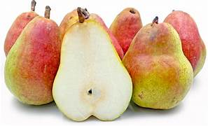 Comice Pear fruit seeds for planting - Heirloom & Non-GMO Garden seeds