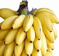 Thai Banana Fruit Seeds for Planting – Heirloom & Non-GMO Kluai Namwa Garden Seeds