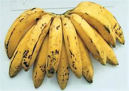 Pacovan Banana fruit seeds for planting - Heirloom & Non-GMO Garden seeds