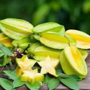 Starfruit fruit seeds for planting - Heirloom & Non-GMO Garden seeds, sweet tropical variety for home gardens