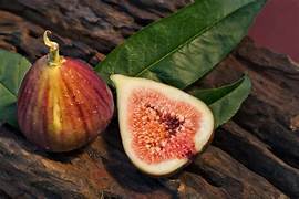 Brown Turkey Fig Fruit Tree Seeds for Planting – heirloom non-GMO seeds, hardy fig trees for zones – 100 pcs
