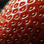 Brown Strawberry fruit seeds for planting – Heirloom & Non-GMO garden seeds, juicy flavorful berry variety