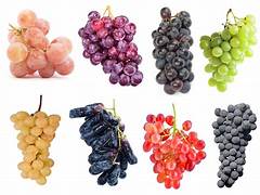 Mixed Grape fruit seeds for planting - Heirloom & Non-GMO Garden seeds