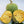 Aegle Marmelos fruit seeds for planting - Heirloom & Non-GMO Garden seeds, aromatic sacred fruit variety for gardens