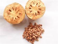 Aegle Marmelos fruit seeds for planting - Heirloom & Non-GMO Garden seeds, aromatic sacred fruit variety for gardens