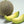 Yellow Ichiba Kouji Fruit Seeds for Planting – Heirloom & Non-GMO Garden seeds, exotic sweet fruits for backyard gardens