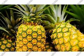 Golden Sweet Pineapple fruit seeds for planting - Heirloom & Non-GMO Garden seeds