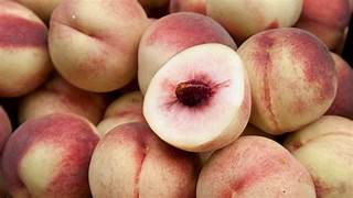 Arctic Supreme Peach fruit seeds for planting – Heirloom & Non-GMO garden seeds, sweet peaches for cool climates