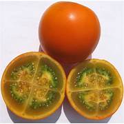 Solanum Quitoense fruit seeds for planting - Heirloom & Non-GMO Garden seeds, exotic tangy fruits for home gardens
