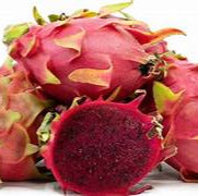 Red Pitaya fruit seeds for planting - Heirloom & Non-GMO garden seeds, easy-growing exotic superfood variety