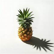 Orange-Green Pineapple fruit seeds for planting - Heirloom & Non-GMO Tropical Garden seeds