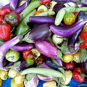 Mixed Eggplant sweet fruit seeds for planting - Heirloom & Non-GMO garden seeds, productive and flavorful variety