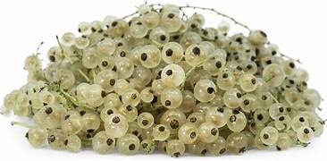 White Currant fruit seeds for planting – Heirloom & Non-GMO tangy berry garden seeds