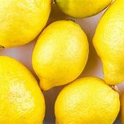 Sweet Persian Lemon fruit seeds for planting - Heirloom & Non-GMO garden seeds, low-acid citrus delight variety