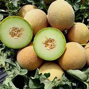 Mini Melon fruit seeds for planting - Heirloom & Non-GMO Garden seeds, compact melons for small gardens