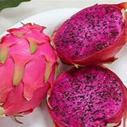 Pink Pitaya fruit seeds for planting - Heirloom & Non-GMO Garden seeds