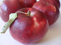 Burgundy Apple fruit seeds for planting - Heirloom & Non-GMO Garden seeds