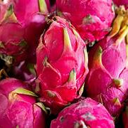 Pink Pitaya fruit seeds for planting - Heirloom & Non-GMO Garden seeds