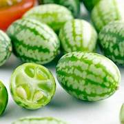 Mini Melon fruit seeds for planting - Heirloom & Non-GMO Garden seeds, compact melons for small gardens