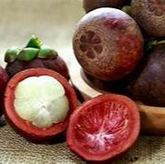 Mangosteen fruit seeds for planting – Heirloom & Non-GMO garden seeds, exotic sweet tropical fruit variety