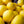 Yellow Melon Fruit Seeds for Planting – Heirloom & Non-GMO Garden seeds, refreshing melons for summer harvests