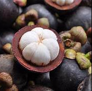 Mangosteen fruit seeds for planting – Heirloom & Non-GMO garden seeds, exotic sweet tropical fruit variety