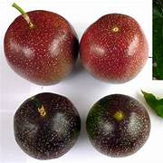 Marron Red Passiflora Edulis fruit seeds for planting - Heirloom & Non-GMO garden seeds, tropical vine variety