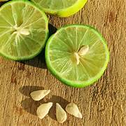 Lime fruit seeds for planting – Heirloom & Non-GMO garden seeds, fresh zesty citrus for backyard growers