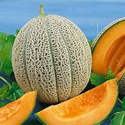 Melon fruit seeds for planting – Heirloom & Non-GMO garden seeds, refreshing sweet melons for summer growing