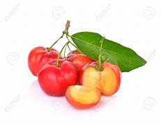 Barbados Cherry fruit seeds for planting - Heirloom & Non-GMO Garden seeds