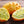 Yellow Kiwano Melon fruit seeds for planting - Heirloom & Non-GMO Garden seeds, spiky exotic melon variety