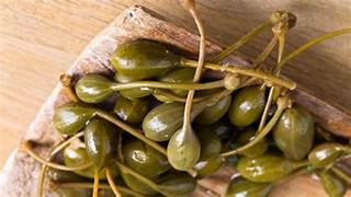 Jamaican Caper Berry Fruit Seeds for Planting – Heirloom & Non-GMO Native Florida Garden Seeds