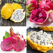 Mixed Pitaya fruit seeds for planting - Heirloom & Non-GMO garden seeds, easy-to-grow tropical superfruit mix